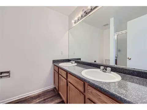 4064 Dunkirk Ct, Denver, CO 80249 photo 20