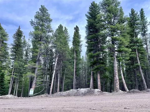 171 Lower Forest Rd, Idaho Springs, CO 80452
