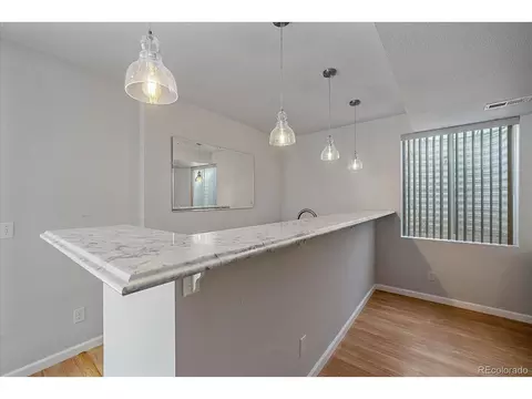 20546 E 55th Ave, Denver, CO 80249 photo 36