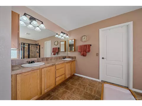 20546 E 55th Ave, Denver, CO 80249 photo 25
