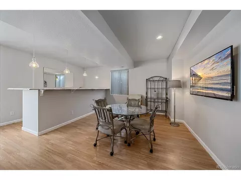 20546 E 55th Ave, Denver, CO 80249 photo 34