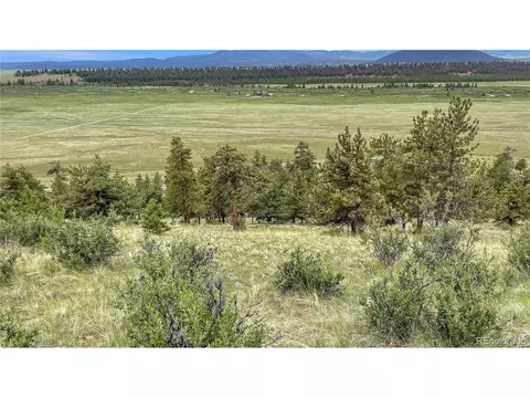 345 Bonell Dr, Fairplay, CO 80440 photo 21