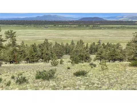 345 Bonell Dr, Fairplay, CO 80440 photo 26