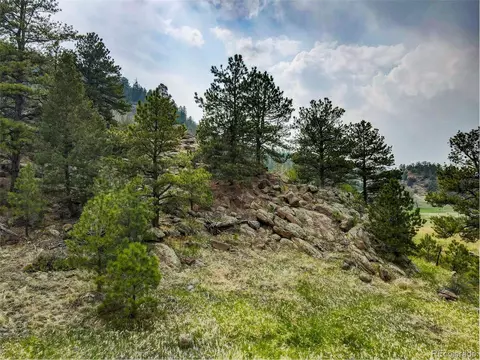 313 Elliott Dr, Florissant, CO 80816