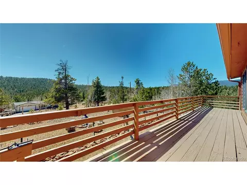 53 Obrien Rd, Bailey, CO 80421 photo 28