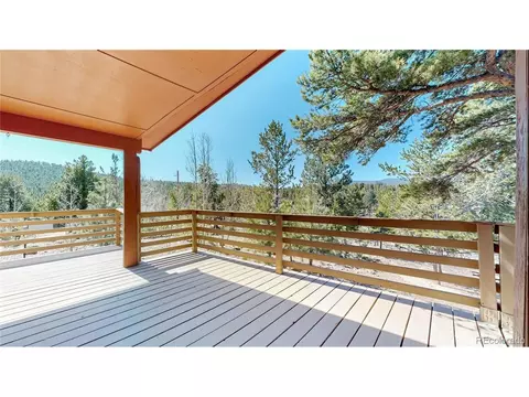 53 Obrien Rd, Bailey, CO 80421 photo 30