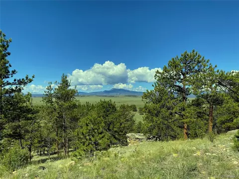 Undisclosed, Hartsel, CO 80449 photo 3