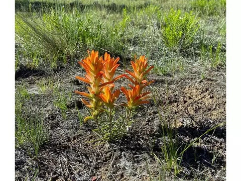 Undisclosed, Hartsel, CO 80449 photo 7