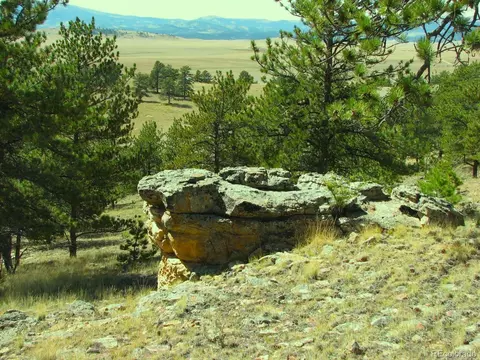Undisclosed, Hartsel, CO 80449 photo 8