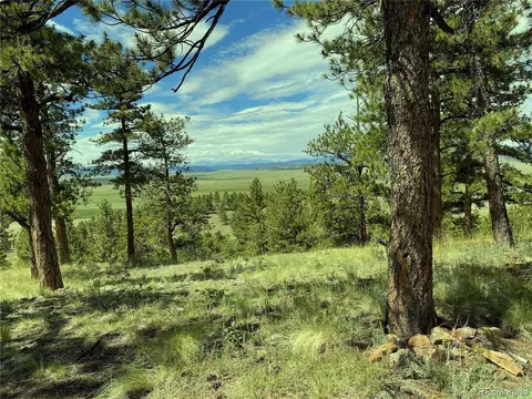 Undisclosed, Hartsel, CO 80449 photo 5