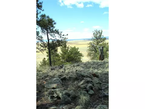 Undisclosed, Hartsel, CO 80449 photo 11