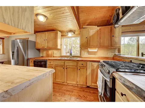 207 Saddlestring Rd, Bailey, CO 80421 photo 6
