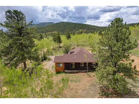 207 Saddlestring Rd, Bailey, CO 80421 photo 11