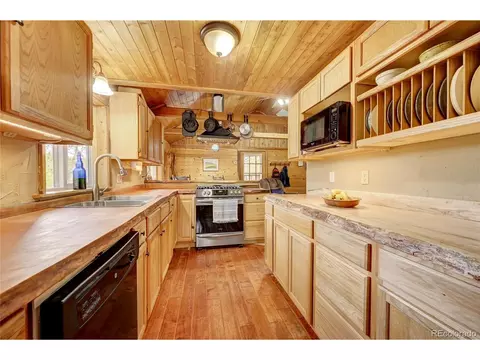 207 Saddlestring Rd, Bailey, CO 80421 photo 5