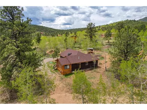 207 Saddlestring Rd, Bailey, CO 80421 photo 10