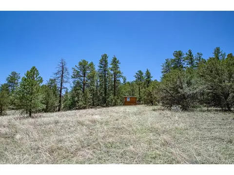 Undisclosed, Cotopaxi, CO 81223 photo 21