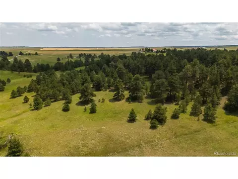 View/Area - 11771 E Smith Rd, Elbert, CO 80106 photo 1 of 1