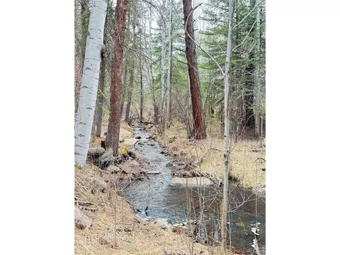 2315 Cr-68, Bailey, CO 80421 photo 37
