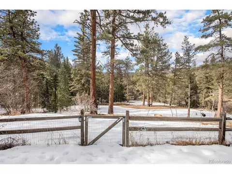 2315 Cr-68, Bailey, CO 80421 photo 32