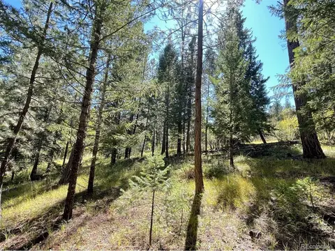 2315 Cr-68, Bailey, CO 80421 photo 8