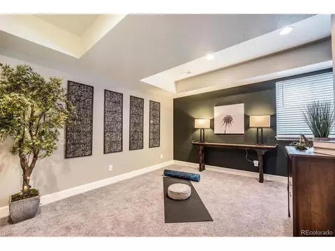 8767 Bross St, Arvada, CO 80007 photo 25