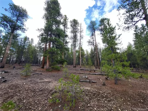 180 Fir Dr, Twin Lakes, CO 80461
