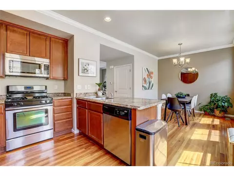 10321 Bellwether Ln, Lone Tree, CO 80124 photo 11