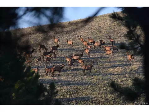 10731 Union Creek Rd, Lake George, CO 80827 photo 26