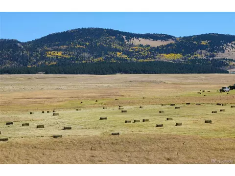 10731 Union Creek Rd, Lake George, CO 80827 photo 28