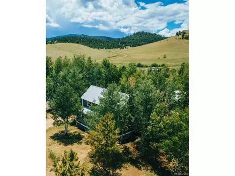 10731 Union Creek Rd, Lake George, CO 80827 photo 44
