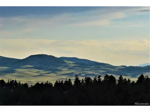10731 Union Creek Rd, Lake George, CO 80827 photo 37