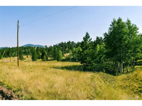 321 Bobcat Ln, Guffey, CO 80820 photo 33