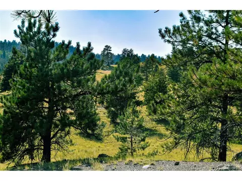 321 Bobcat Ln, Guffey, CO 80820 photo 23
