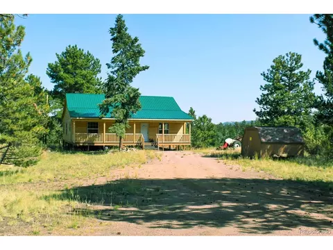 321 Bobcat Ln, Guffey, CO 80820 photo 18