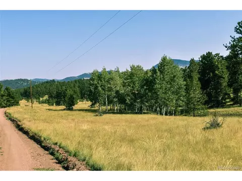321 Bobcat Ln, Guffey, CO 80820 photo 32