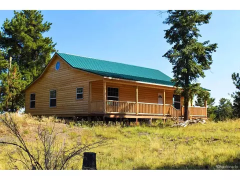 321 Bobcat Ln, Guffey, CO 80820 photo 2