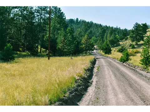 321 Bobcat Ln, Guffey, CO 80820 photo 30