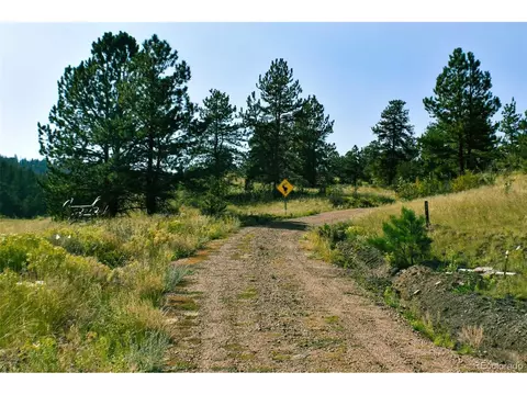 321 Bobcat Ln, Guffey, CO 80820 photo 20