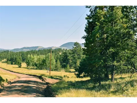 321 Bobcat Ln, Guffey, CO 80820 photo 31