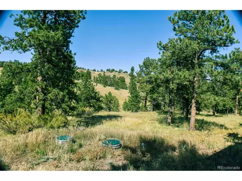 321 Bobcat Ln, Guffey, CO 80820 photo 16