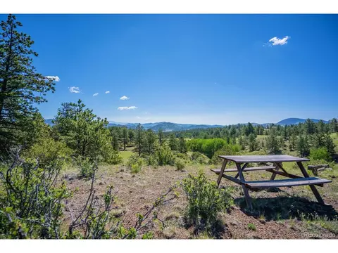 321 Bobcat Ln, Guffey, CO 80820 photo 24