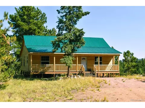 321 Bobcat Ln, Guffey, CO 80820 photo 1