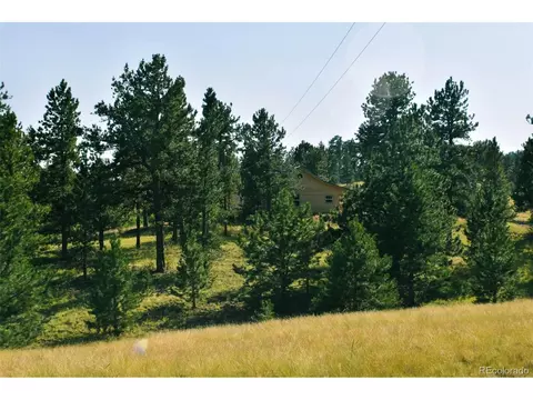 321 Bobcat Ln, Guffey, CO 80820 photo 27