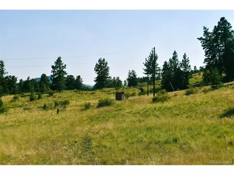 321 Bobcat Ln, Guffey, CO 80820 photo 29