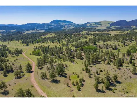 321 Bobcat Ln, Guffey, CO 80820 photo 35