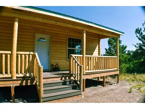 321 Bobcat Ln, Guffey, CO 80820 photo 4