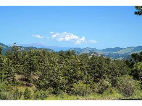 321 Bobcat Ln, Guffey, CO 80820 photo 34