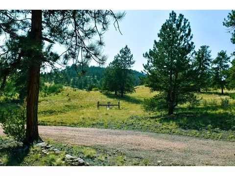 321 Bobcat Ln, Guffey, CO 80820 photo 19