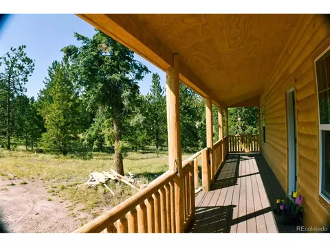 321 Bobcat Ln, Guffey, CO 80820 photo 5