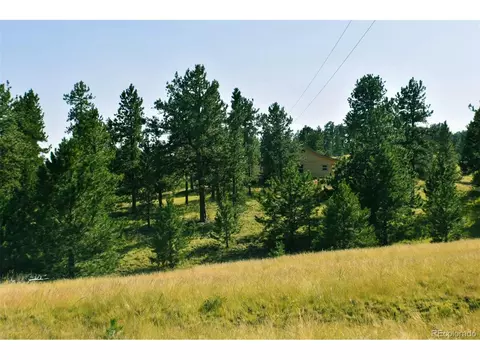 321 Bobcat Ln, Guffey, CO 80820 photo 26
